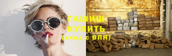 СК Алексин