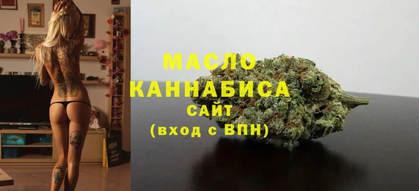 СК Алексин