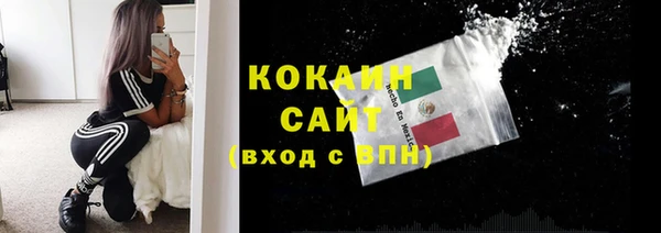 СК Алексин