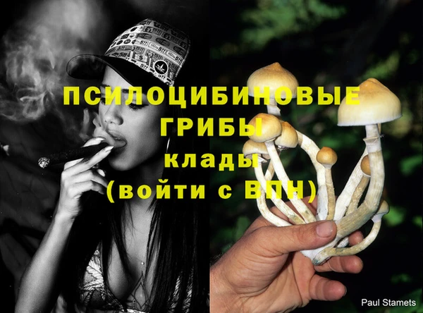 СК Алексин