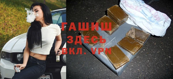 СК Алексин